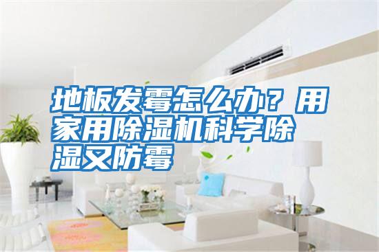 地板發(fā)霉怎么辦？用家用除濕機(jī)科學(xué)除濕又防霉