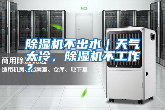 除濕機不出水｜天氣太冷，除濕機不工作？