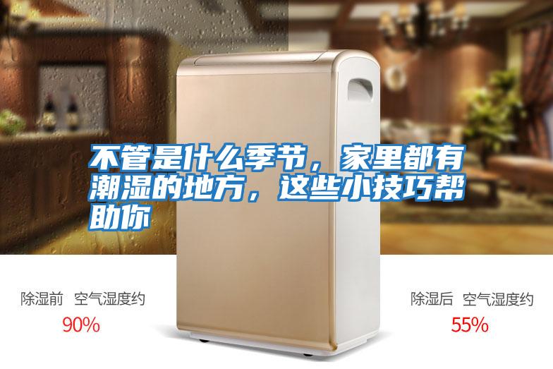 不管是什么季節，家里都有潮濕的地方，這些小技巧幫助你