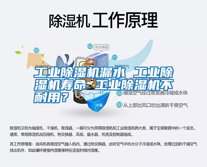 工業(yè)除濕機漏水 工業(yè)除濕機壽命 工業(yè)除濕機不耐用?