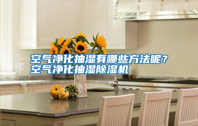 空氣凈化抽濕有哪些方法呢？空氣凈化抽濕除濕機
