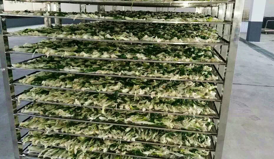 菜干需求一直都很大，蔬菜烘干機很有市場