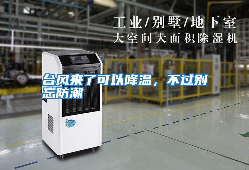 臺風來了可以降溫，不過別忘防潮