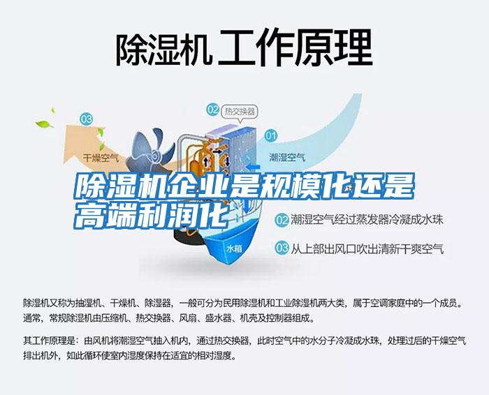 除濕機企業(yè)是規(guī)模化還是高端利潤化