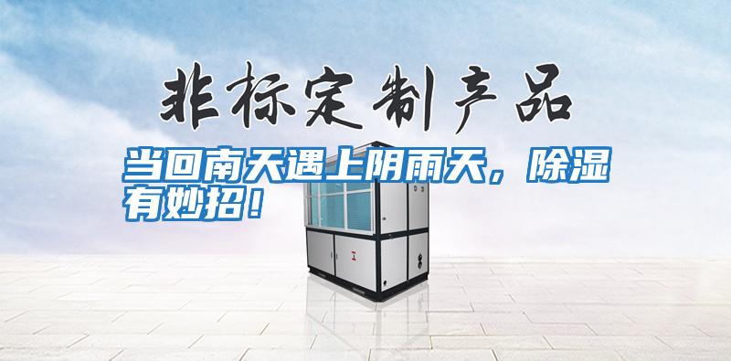 當(dāng)回南天遇上陰雨天，除濕有妙招！