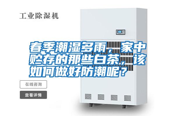 春季潮濕多雨，家中貯存的那些白茶，該如何做好防潮呢？