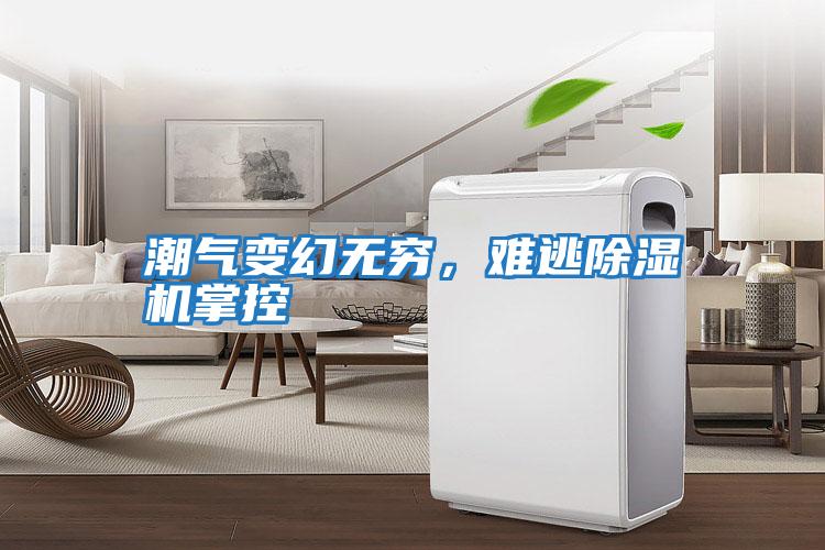 潮氣變幻無窮，難逃除濕機掌控