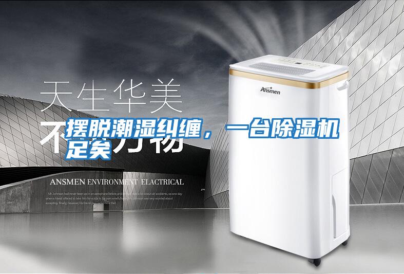 擺脫潮濕糾纏，一臺除濕機足矣