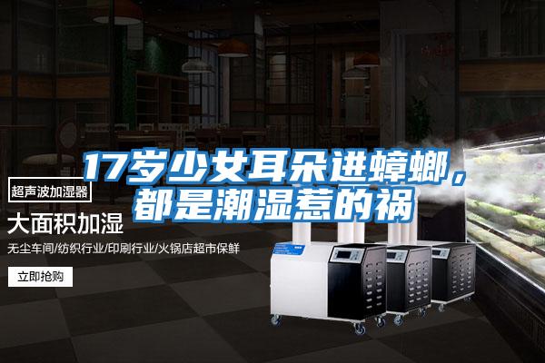 17歲少女耳朵進(jìn)蟑螂,都是潮濕惹的禍