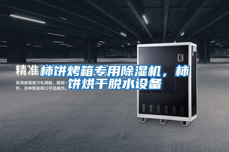 柿餅烤箱專用除濕機，柿餅烘干脫水設備