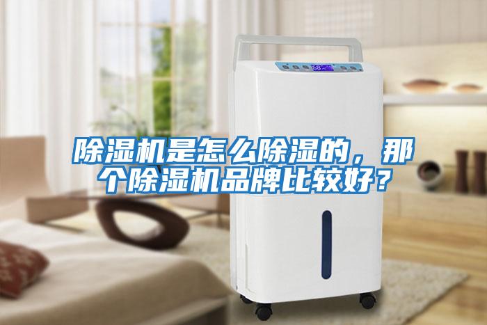 除濕機是怎么除濕的,那個除濕機品牌比較好?