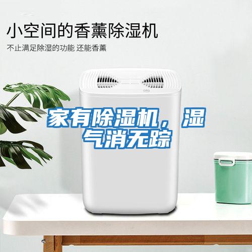 家有除濕機(jī),濕氣消無蹤
