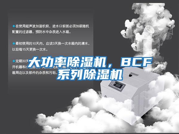 大功率除濕機,BCF系列除濕機