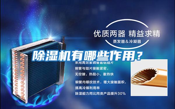 除濕機(jī)有哪些作用?