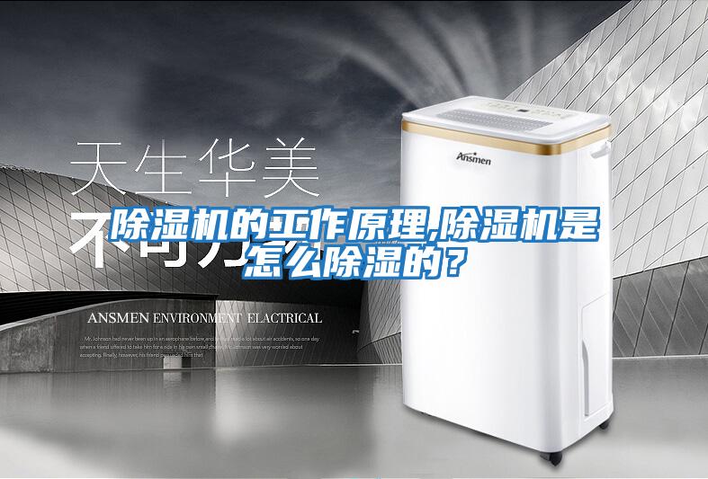 除濕機的工作原理,除濕機是怎么除濕的?