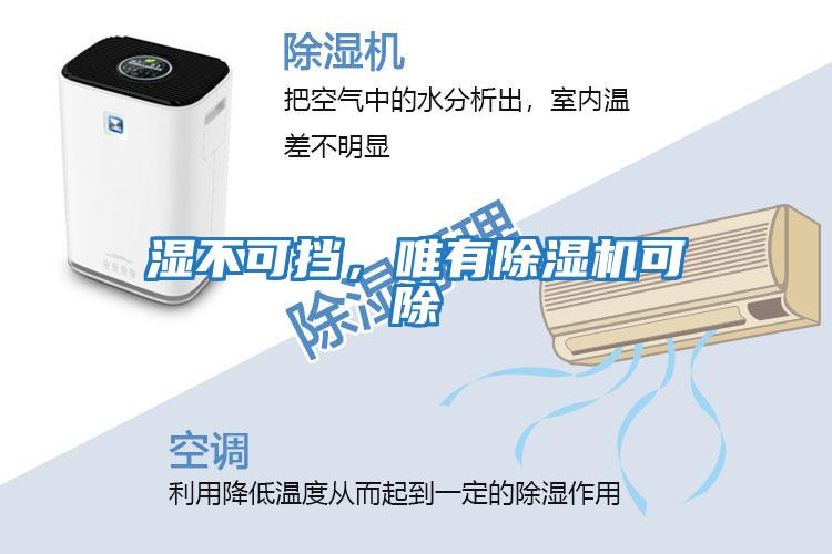 濕不可擋，唯有除濕機可除