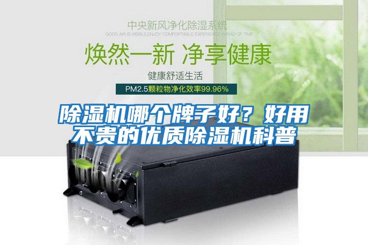 除濕機哪個牌子好？好用不貴的優質除濕機科普