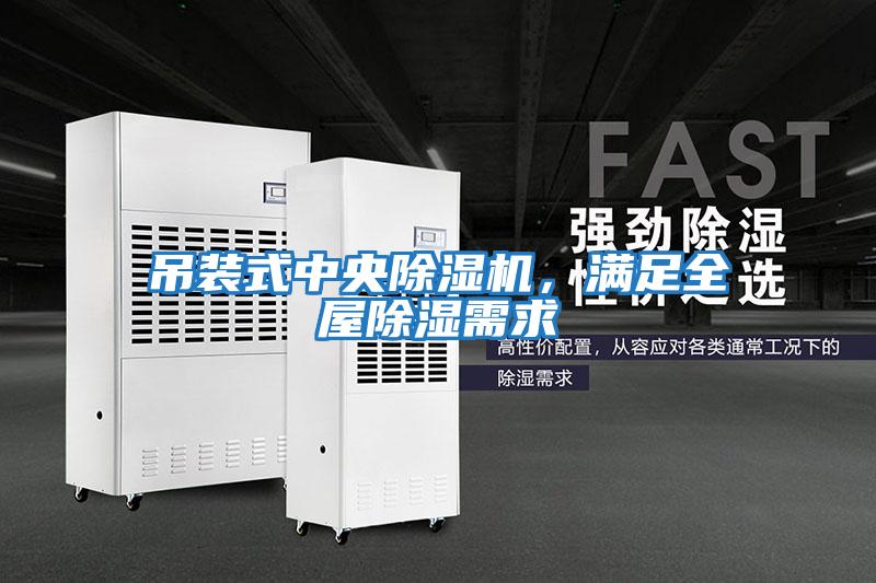 吊裝式中央除濕機(jī)，滿足全屋除濕需求