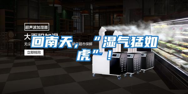 回南天，“濕氣猛如虎”！