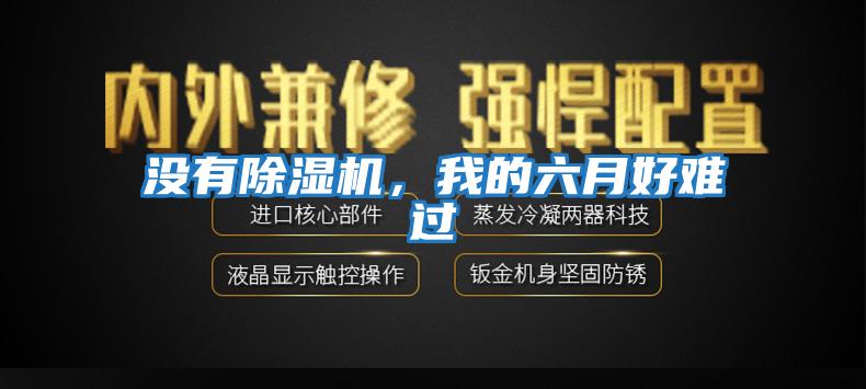 沒有除濕機，我的六月好難過