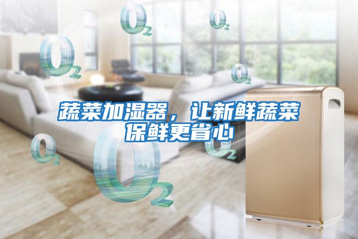 蔬菜加濕器,讓新鮮蔬菜保鮮更省心