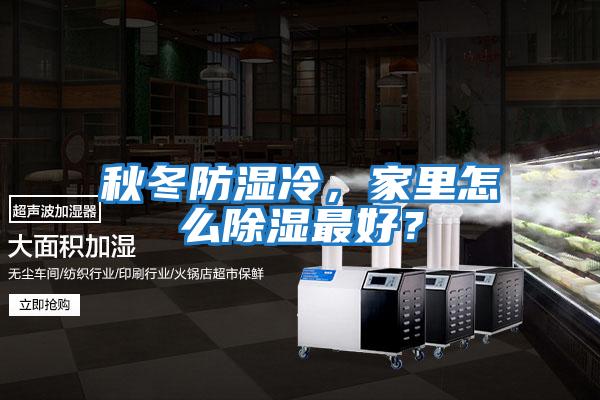 秋冬防濕冷，家里怎么除濕最好？