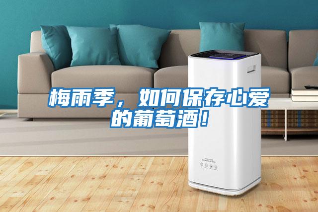 梅雨季，如何保存心愛的葡萄酒！