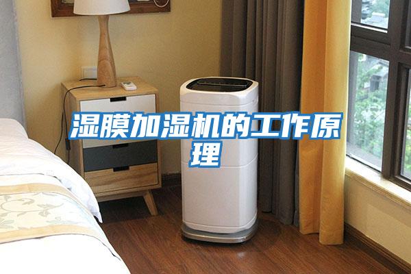 濕膜加濕機的工作原理
