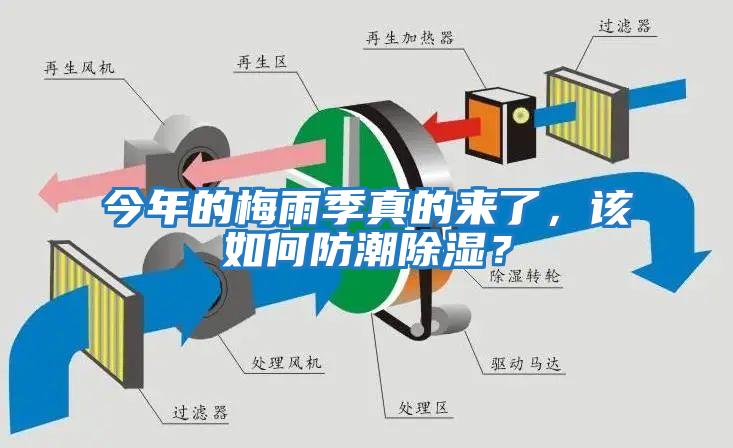 今年的梅雨季真的來了，該如何防潮除濕？