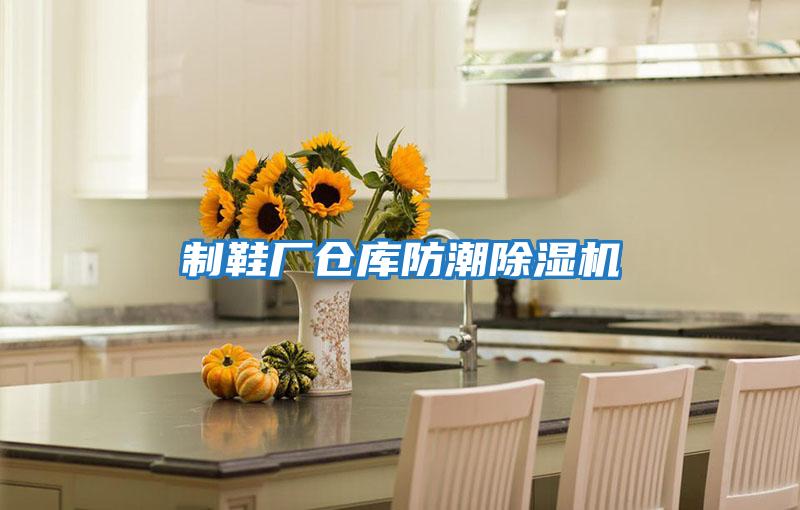 制鞋廠倉(cāng)庫(kù)防潮除濕機(jī)