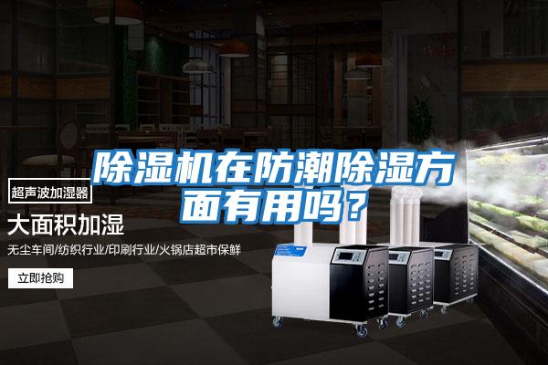 除濕機在防潮除濕方面有用嗎？