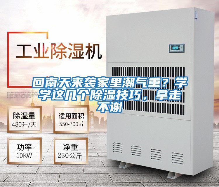 回南天來襲家里潮氣重?學(xué)學(xué)這幾個(gè)除濕技巧,拿走不謝