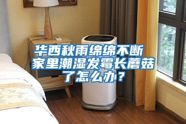 華西秋雨綿綿不斷 家里潮濕發(fā)霉長蘑菇了怎么辦？
