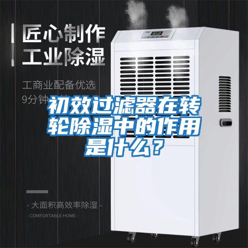 初效過濾器在轉輪除濕中的作用是什么？