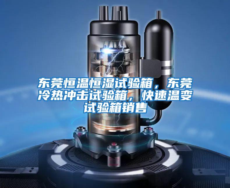 東莞恒溫恒濕試驗箱,東莞冷熱沖擊試驗箱,快速溫變試驗箱銷售