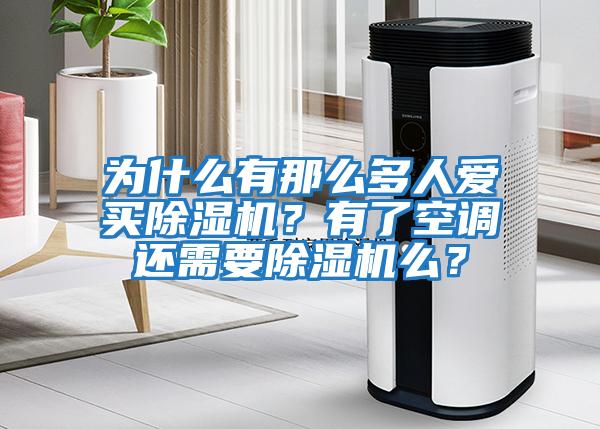 為什么有那么多人愛買除濕機?有了空調還需要除濕機么?