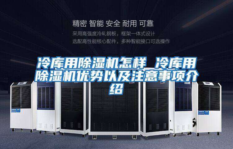 冷庫用除濕機(jī)怎樣 冷庫用除濕機(jī)優(yōu)勢(shì)以及注意事項(xiàng)介紹