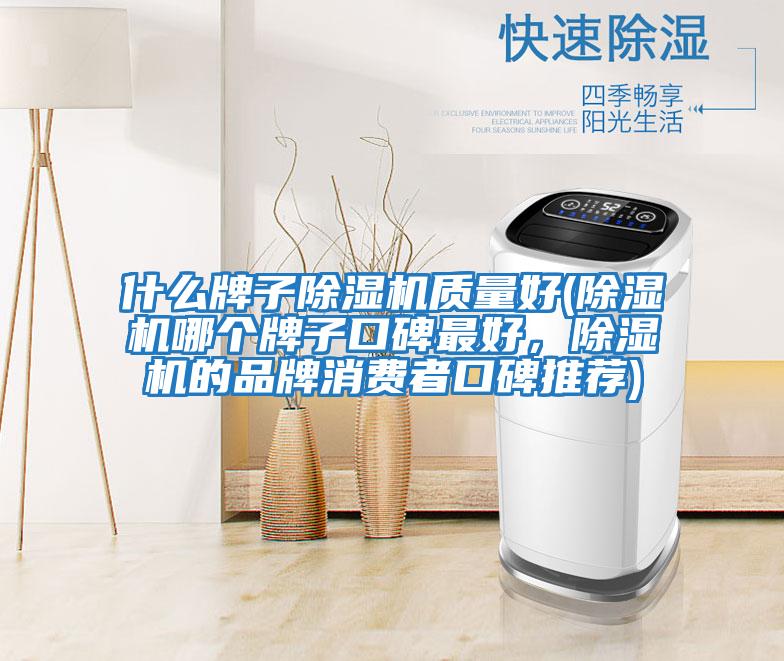 什么牌子除濕機(jī)質(zhì)量好(除濕機(jī)哪個牌子口碑最好,除濕機(jī)的品牌消費(fèi)者口碑推薦)