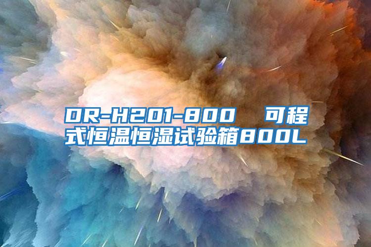 DR-H201-800 可程式恒溫恒濕試驗(yàn)箱800L