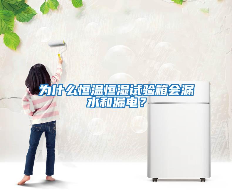 為什么恒溫恒濕試驗箱會漏水和漏電?