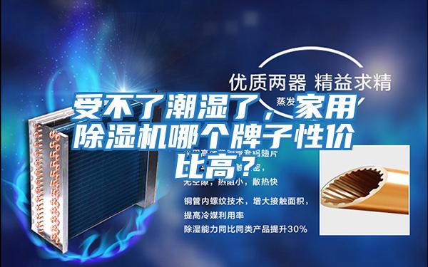 受不了潮濕了，家用除濕機哪個牌子性價比高？