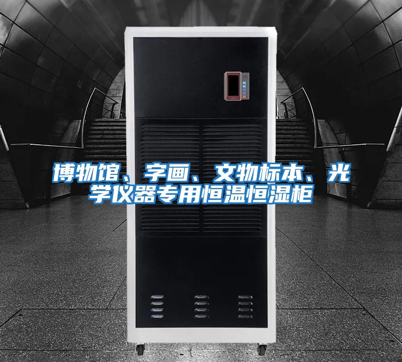 博物館、字畫、文物標(biāo)本、光學(xué)儀器專用恒溫恒濕柜