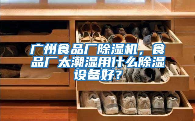 廣州食品廠除濕機，食品廠太潮濕用什么除濕設備好？