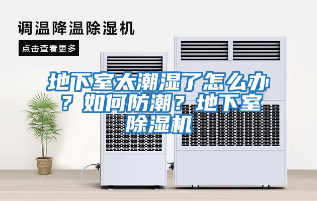 地下室太潮濕了怎么辦？如何防潮？地下室除濕機