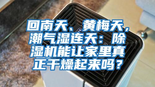 回南天、黃梅天，潮氣濕連天：除濕機能讓家里真正干燥起來嗎？