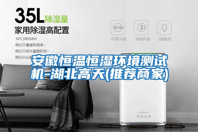 安徽恒溫恒濕環(huán)境測試機(jī)-湖北高天(推薦商家)