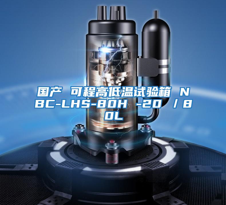 國產(chǎn) 可程高低溫試驗箱 NBC-LHS-80H -20℃/80L