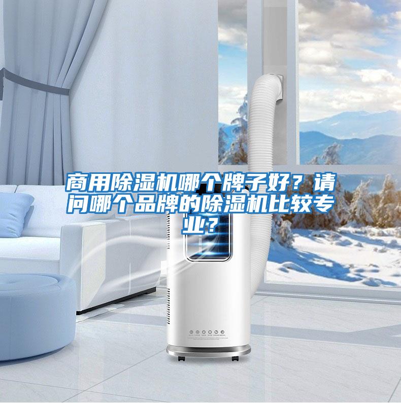 商用除濕機哪個牌子好？請問哪個品牌的除濕機比較專業？