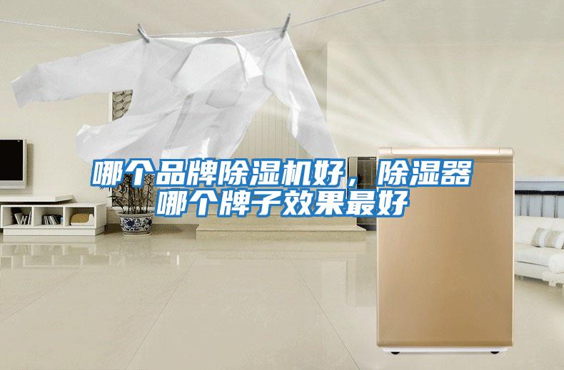 哪個品牌除濕機好,除濕器哪個牌子效果最好