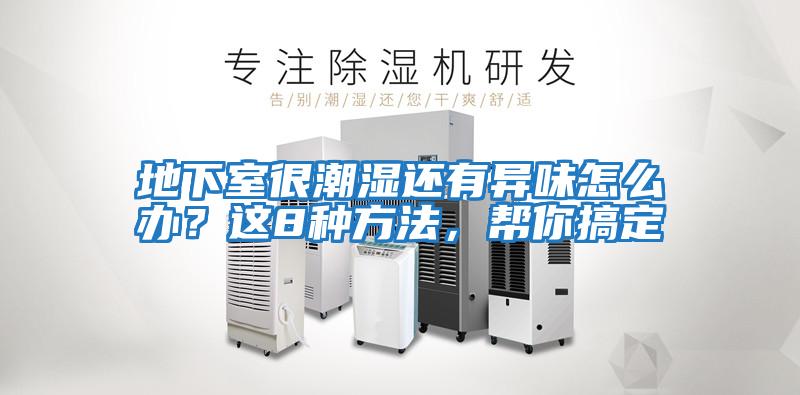 地下室很潮濕還有異味怎么辦？這8種方法，幫你搞定